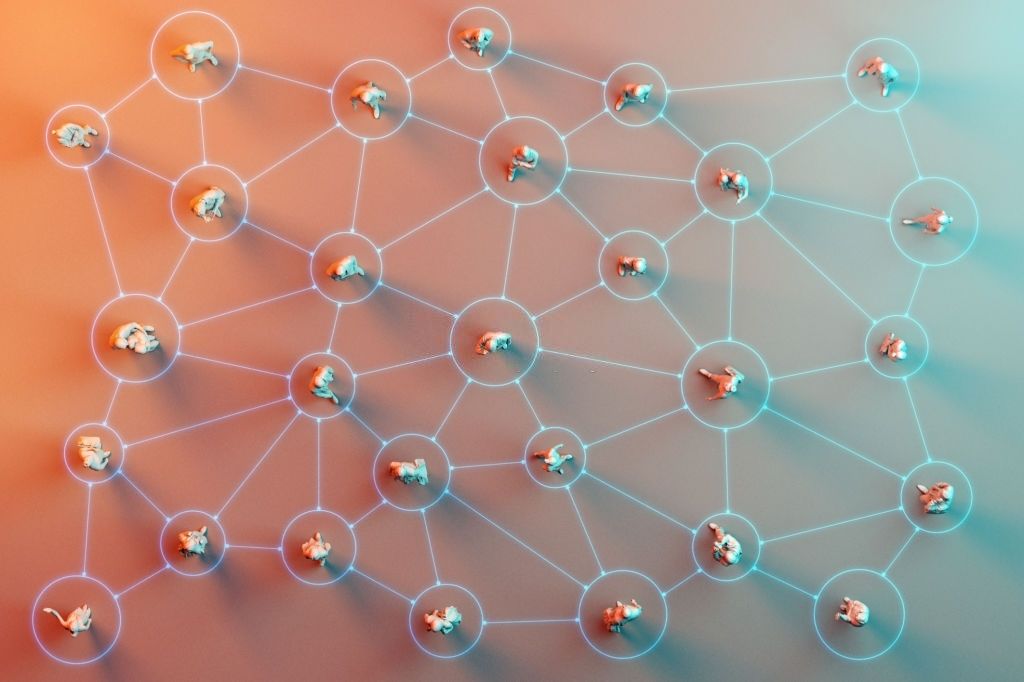 Zentanetwork - developed for offline communication π¨βπ